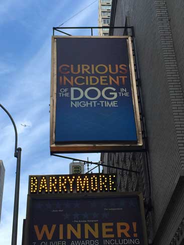 Broadway Review - The Curious Incident of the Dog in the Night-Time