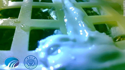 Picture from University of Chongqing of a cotton sprout on the moon