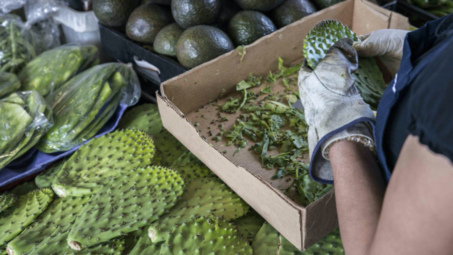 Nopal: Mexico's 'Green Gold'