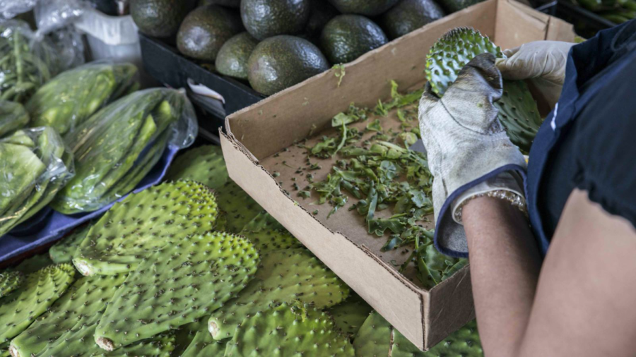 Nopal: Mexicos Green Gold