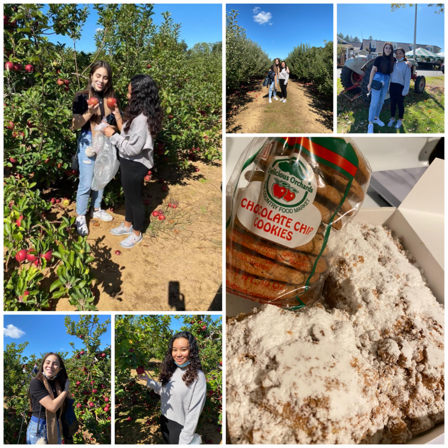 Apple Picking, Treats and Sweets