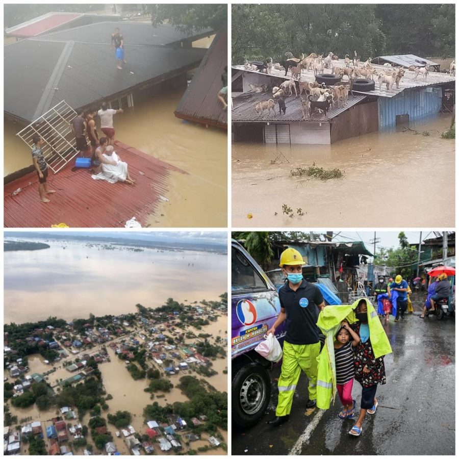 Images' Credit:
CNN
Relief Web
Rappler